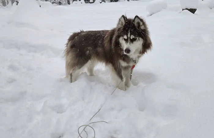 Twin Lakes Campground Inc Picture 1