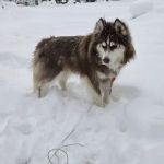 Twin Lakes Campground Inc