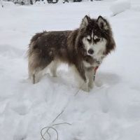 Twin Lakes Campground Inc ico