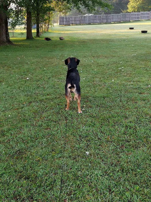 Twin Lakes Campground Inc Picture 8