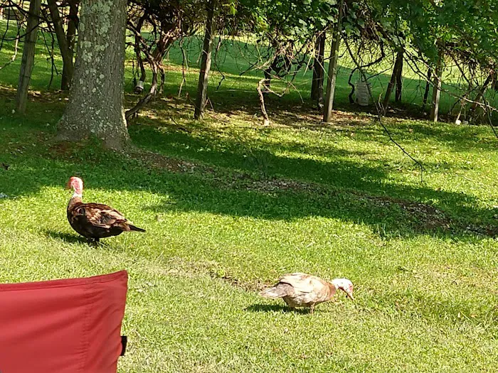 Twin Lakes Campground Inc Picture 9