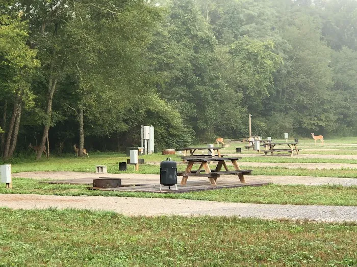 Hollybrook Farm Campground Picture 1