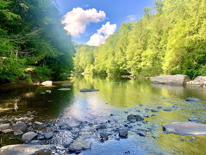 CAMP MORNING WOOD Picture 9