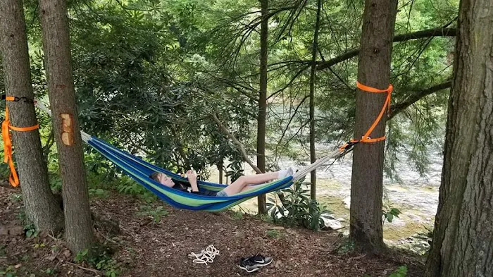 CAMP MORNING WOOD Picture 2