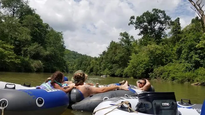 CAMP MORNING WOOD Picture 5