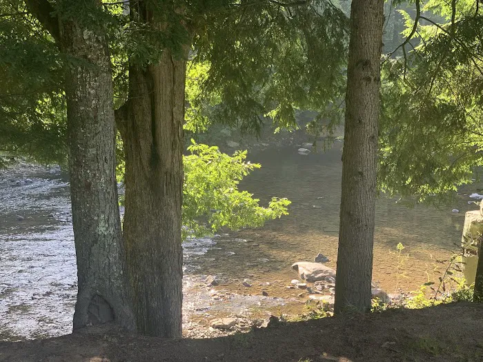 CAMP MORNING WOOD Picture 8