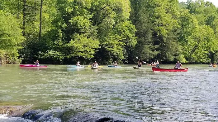 CAMP MORNING WOOD Picture 4