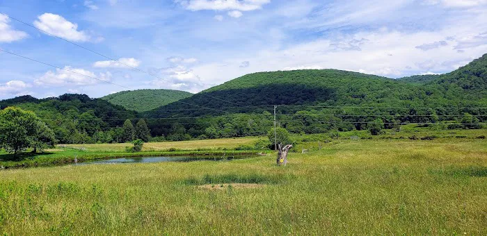 Bemis Campground Picture 6