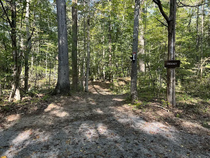 Thunder BRidge Campground Picture 7