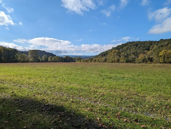 Back Run Paddle In Camp Picture 6