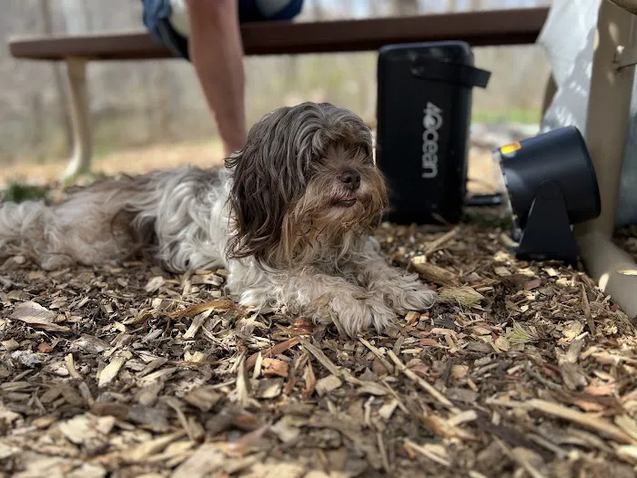 Back Run Paddle In Camp Picture 5