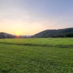 Back Run Paddle In Camp