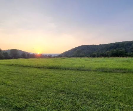 Back Run Paddle In Camp
