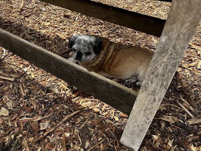 Back Run Paddle In Camp Picture 9