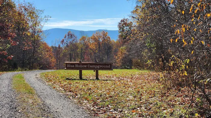 Blue Hollow Campground Picture 1