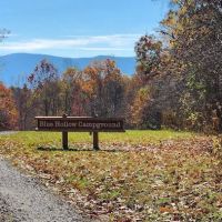 Blue Hollow Campground ico