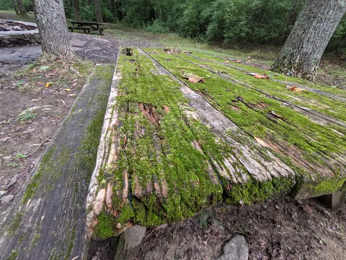 Hopper Creek Group Campground Picture 10