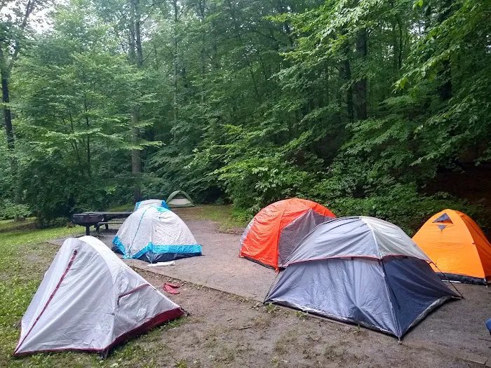 Hopper Creek Group Campground Picture 5