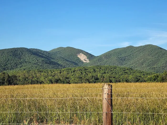 Hopper Creek Group Campground Picture 1