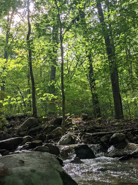 Hopper Creek Group Campground Picture 8