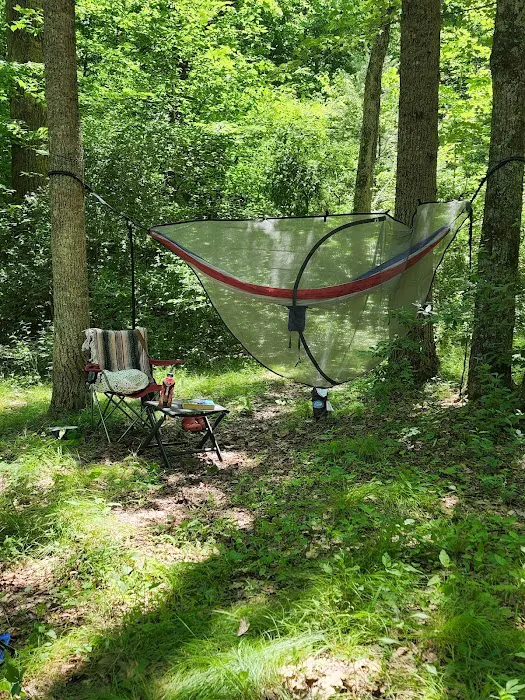 Hopper Creek Group Campground Picture 3