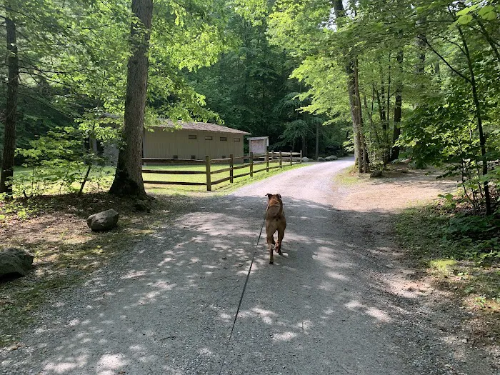 Cave Mountain Lake Campground Picture 2