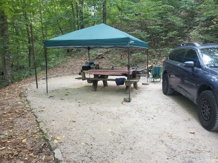 Cave Mountain Lake Campground Picture 3