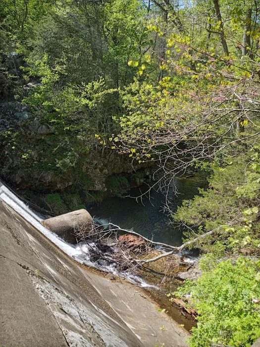 Cave Mountain Lake Campground Picture 7