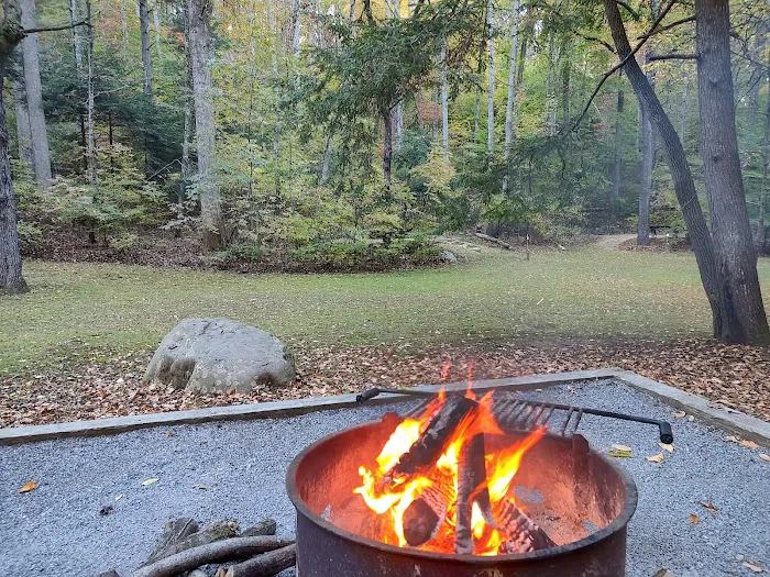 Cave Mountain Lake Campground Picture 1