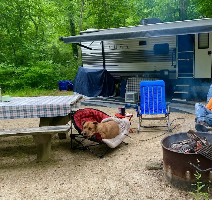 Cave Mountain Lake Campground Picture 8