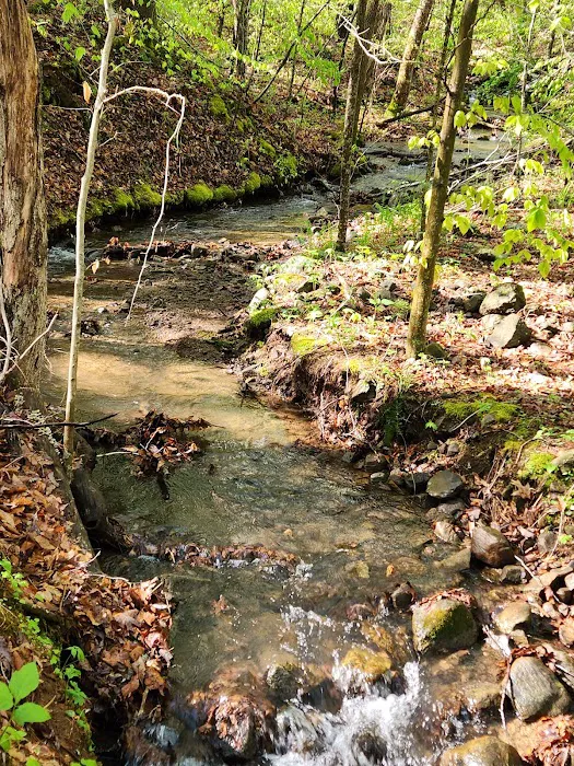 Cave Mountain Lake Campground Picture 9