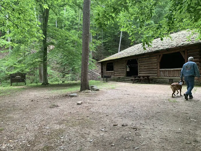 Cave Mountain Lake Campground Picture 4