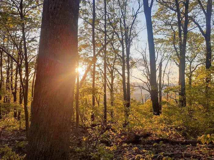 Cave Mountain Lake Campground Picture 5