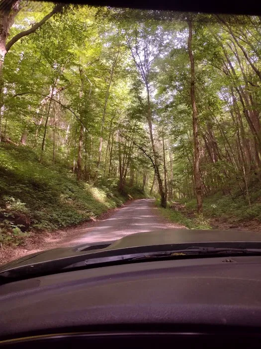 Bubbling Springs Day Use Area (recgovnpsdata) Picture 1