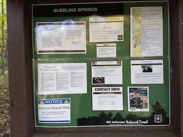 Bubbling Springs Day Use Area (recgovnpsdata) Picture 2