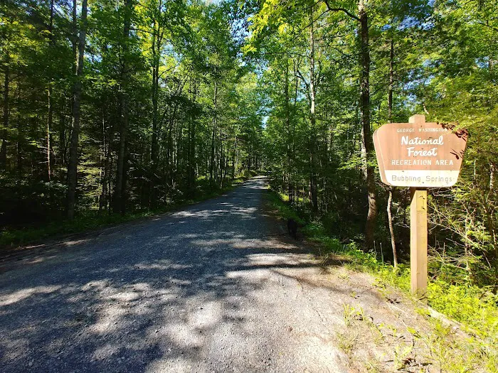 Bubbling Springs Day Use Area (recgovnpsdata) Picture 4