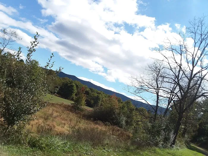 Camp ACCOVAC Picture 2