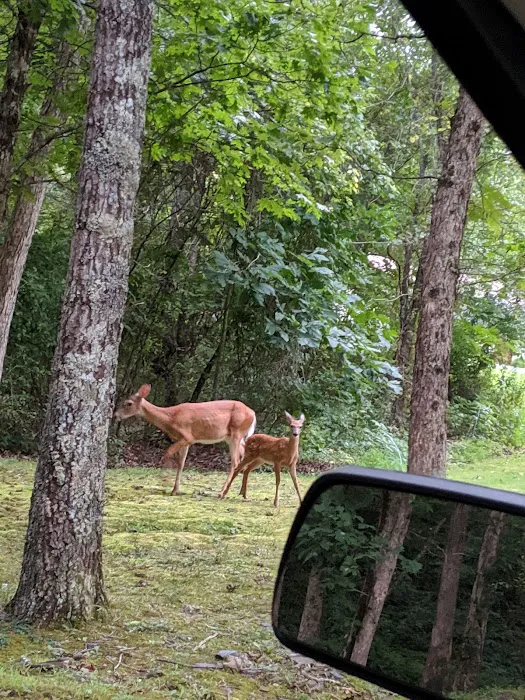 Camp ACCOVAC Picture 7