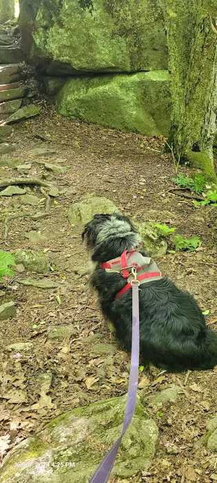 ThunderHillShelter Picture 5