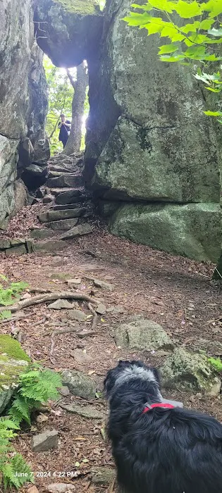 ThunderHillShelter Picture 1