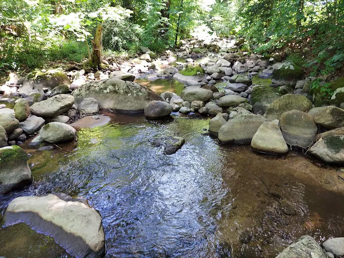 North Creek Campground Picture 9