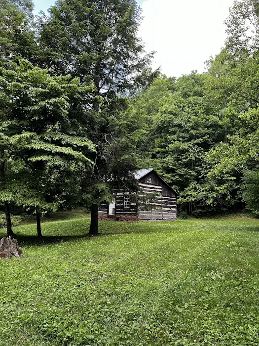 Colon Hollow Shelter Campground Picture 3