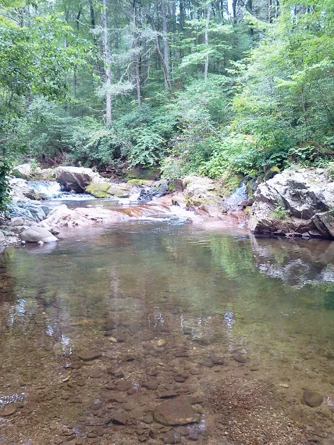 Colon Hollow Shelter Campground Picture 1