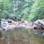 Colon Hollow Shelter Campground