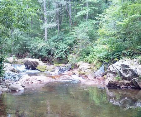 Colon Hollow Shelter Campground