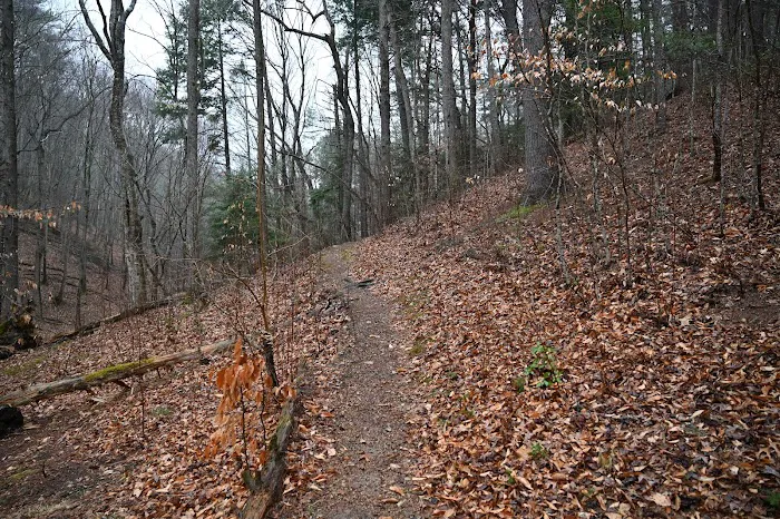 Bryant Ridge Shelter Picture 4