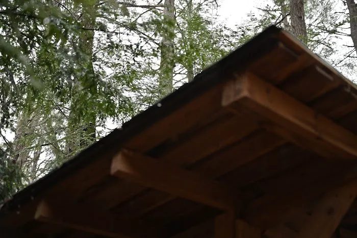 Bryant Ridge Shelter Picture 1