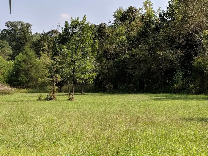 Hidden River Camping Picture 5