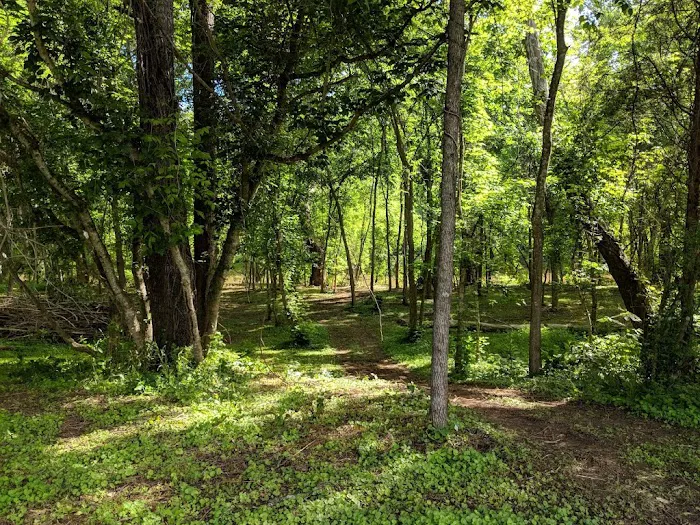 Hidden River Camping Picture 8