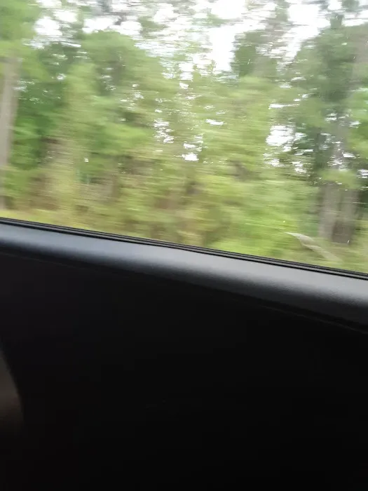 Camp Lowman Picture 3